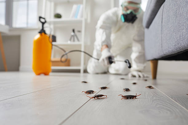 Commercial Kitchen Cockroach Control in Union Hill-Novelty Hill